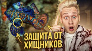 Необычные приспособления у животных для защиты от хищников