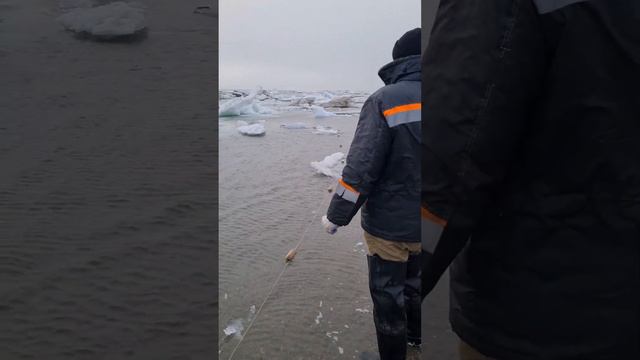 Чукотка! Чукотское море! Август! 😱🤪