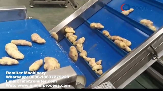 Производственная линия по производству ломтиков обезвоженного имбиря смотреть онлайн