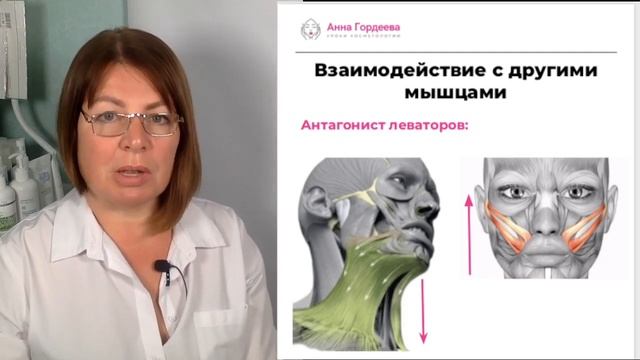 Платизма и ее роль в эстетике лица