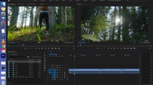 Premiere Pro - Основы монтажа видео, знакомство с программой | Урок 1