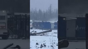 жизнь человека ничего не стоит, медведей нужно любить