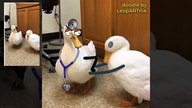 Ducktor and Special kind of patient (PIP version) смотреть онлайн