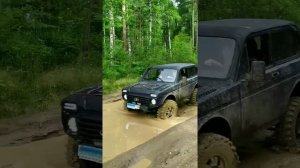 Шок видео! По бездорожью на ниве?