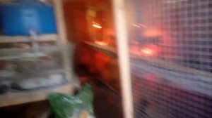 Конструкция для смыва помета у бройлеров