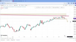 Daily Best Intraday stocks | 19th February 2024 | stocks to buy tomorrow | with detail analysis