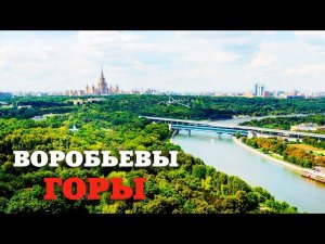 Прогулка по Воробьевым горам