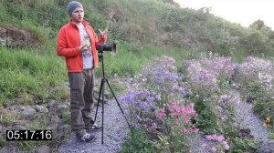 Photographing Flowers Using Focus Stacking | Dunure Castle