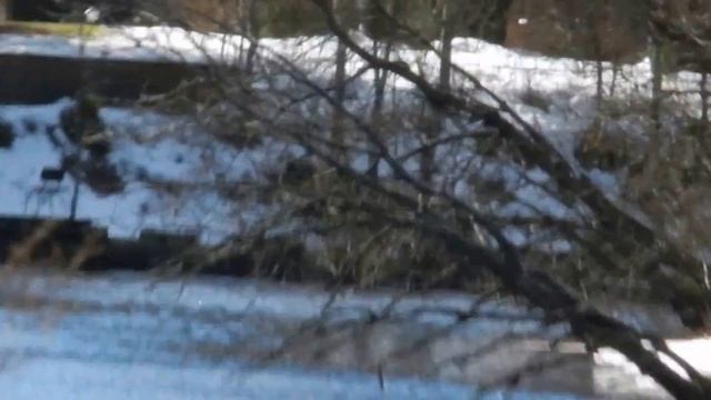 Рыбалка. Ловля . Финский залив кумжа Nikon COOLPIX P500 super zoom BNN_film#2 смотреть онлайн