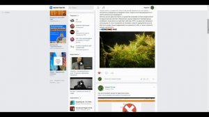 Как сделать репост в ВК на свою страницу - быстрый и бесплатный вариант