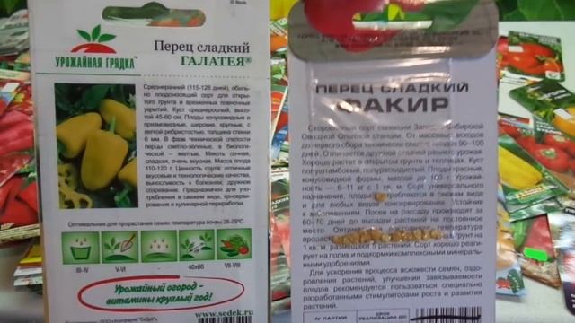 КАКОЙ ПЕРЕЦ ВЫБРАТЬ? СОРТ ГАЛАТЕЯ. Обзор Ольги Черновой. смотреть онлайн