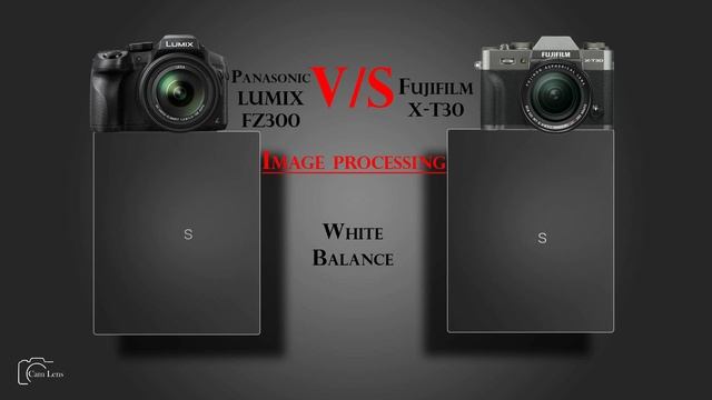 Panasonic LUMIX FZ300 vs Fujifilm X T30 смотреть онлайн