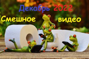 Смешное видео / приколы декабрь 2022