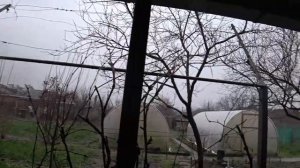Подкармливаем птиц🕊🦅🦉 Редиска пошла курицам🐔 Снова снегопад🕸🕸🕸