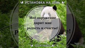 ✅ Установка дня на 9 октября 2022 г.