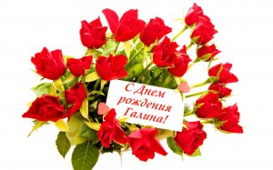 ПОЗДРАВЛЕНИЕ ДЛЯ ГАЛИНЫ!