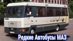 Необычные и малоизвестные модели автобусов МАЗ.