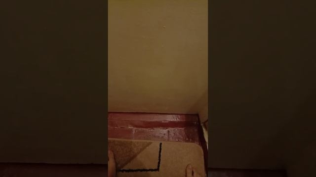 Как правильно вытирать попу