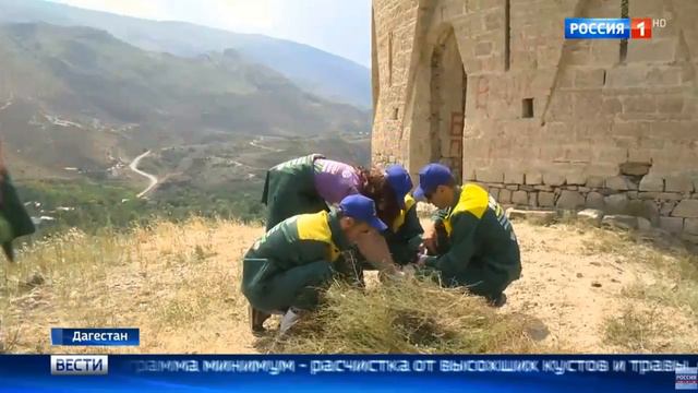 Акция "Башни Кавказа" в Дагестане смотреть онлайн