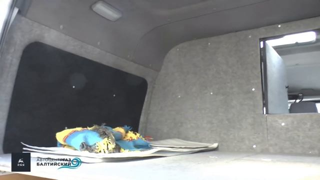 Соболь 4х4. Отзыв владельца. Дмитрий из Кургана смотреть онлайн