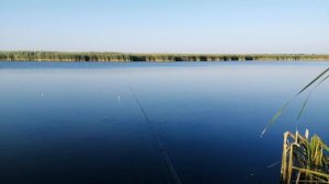 Рыбалка на карпа в Саратовской области.