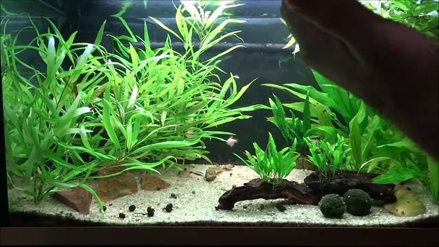 Риф-125 переход на внешнюю фильтрацию JBL CristalProfi e701 greenline. Фильтрация в аквариуме. смотреть онлайн