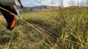 The new Stihl Fs 561 C-EM mowing tall grass for the first time with 350 mm brush knife.
