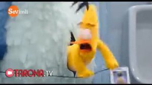 Angry brands 2 . Jaxildor qushlar (maxluqlar ta'tilda ) uzbekcha multfilmlar multfilmlar kanali
