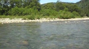 РЫБАЛКА НА РЕКЕ ЛЕБЕДЬ