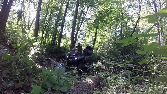YAMAHA GRizzly)Летний Гряземес)