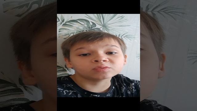 описание