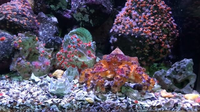 Продолжаем исследовать штат Орегон смотреть онлайн