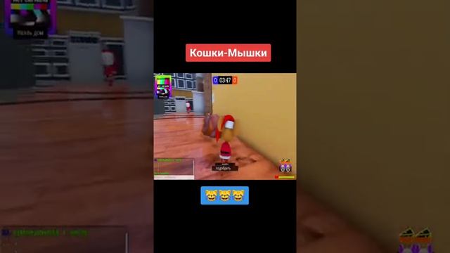 Играем в Кошки Мышки minecraft евгенбро евгенброима майнкрафт майнкрафтприколы кошка животны