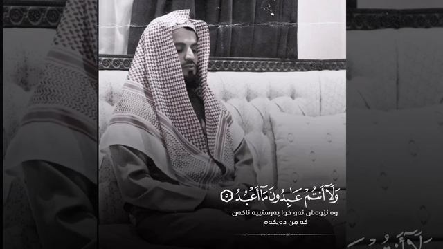 шейх Мухаммад Аль курди чтение Коран сура кафирун