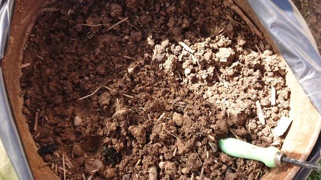 Сажаем огурцы в бочку смотреть онлайн