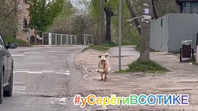 Великие Луки. Пятёрочка выручает ) смотреть онлайн