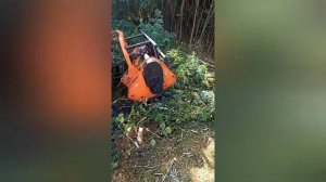 Покос травы мульчиром акация