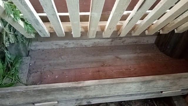 устройство кормушки для овец смотреть онлайн