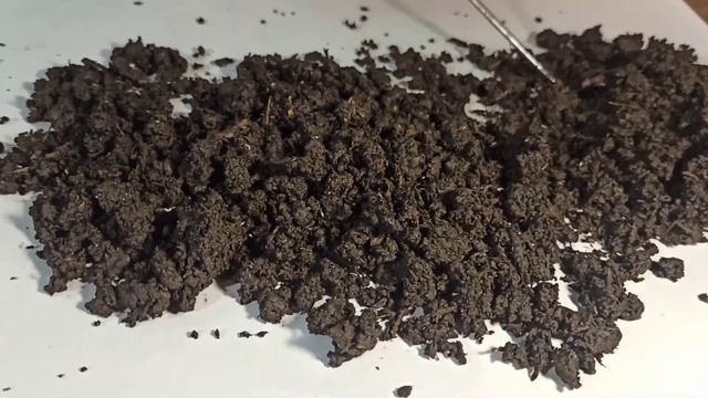 Сколько калифорнийских червей вылупляются из 10 коконов смотреть онлайн