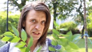 Бундук двудомный I Gymnocladus dioicus