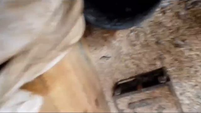 Рукавички из мишек