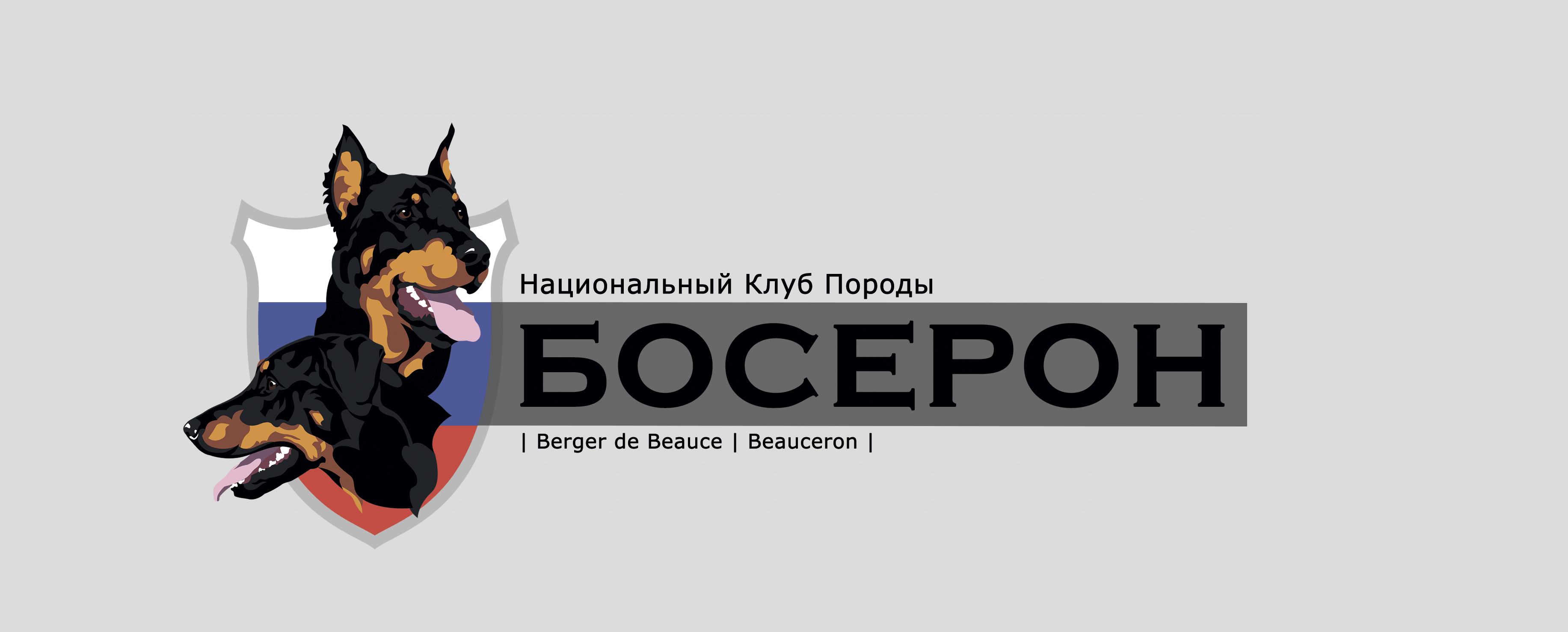 День босерона 2021