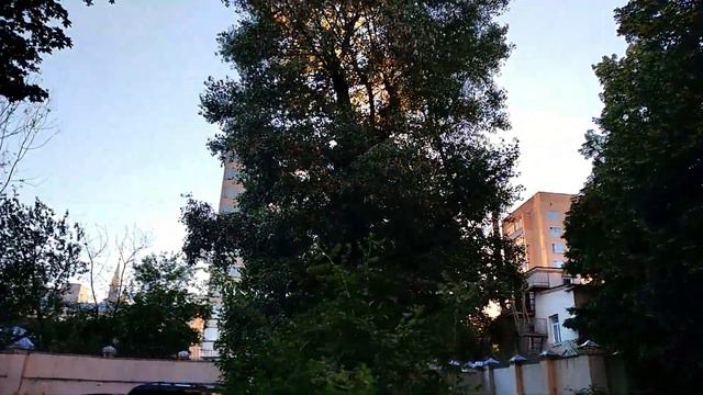 Песня "Прекрасное далёко" под гитару, из фильма "Гостья из будущего". Старый московский дворик смотреть онлайн