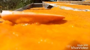 КАК СДЕЛАТЬ ПАСТИЛУ ИЗ АБРИКОС и любых фруктов БЕЗ ЭЛЕКТРОСУШИЛКИ!