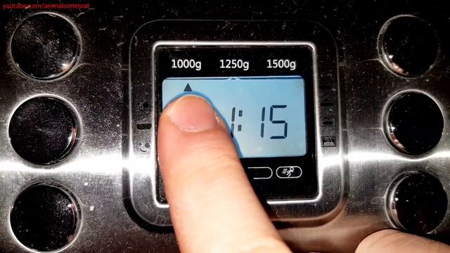 Silvercrest LIDL bread maker automatic machine SBB850E1 IAN314657: Express white bread. Dark смотреть онлайн