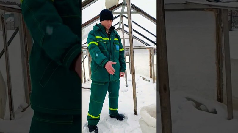 Подготовка парника и покупка удобрений для выращивания гигантской тыквы продолжается...
