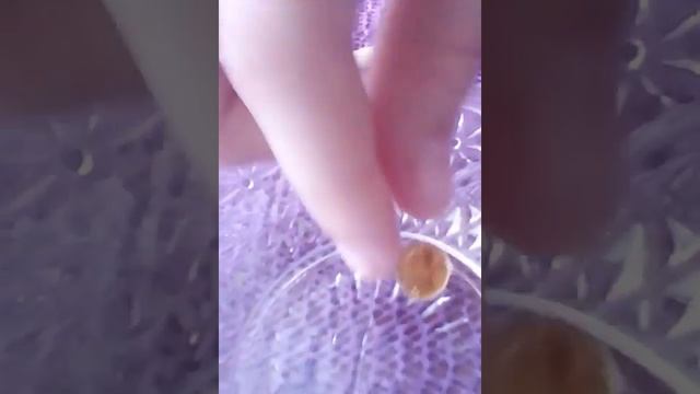 опыт как растворяется рыбий жир в пищевой оболочке в воде. смотреть онлайн