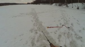 Рыбалка в Кашире , Глухозимье в Феврале ,почему не клюёт окунь.