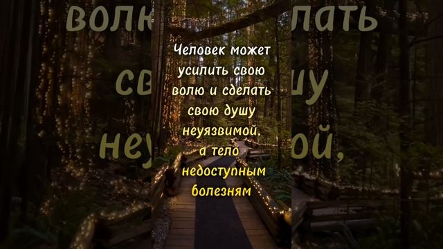 1000008011.mp4