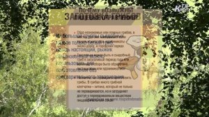 Как избежать отравления грибами  Рекомендации Роспотребнадзора